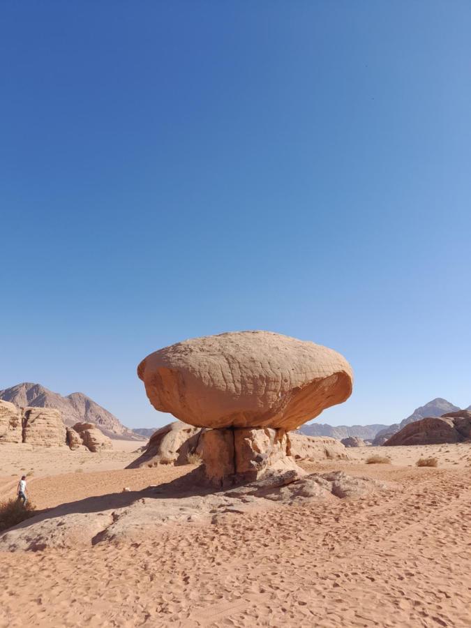 Wadi Rum Camels Camp Ngoại thất bức ảnh