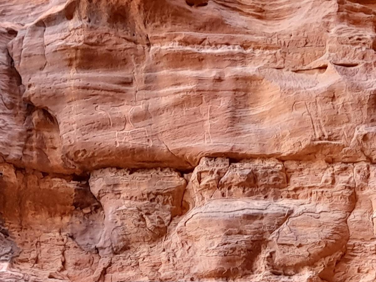 Wadi Rum Camels Camp Ngoại thất bức ảnh